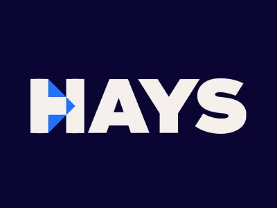 hays-input-race.pages.dev favicon